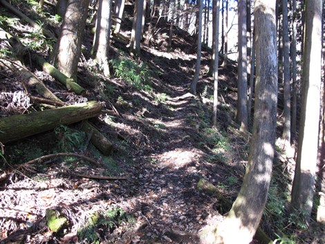 20161216hike (52)